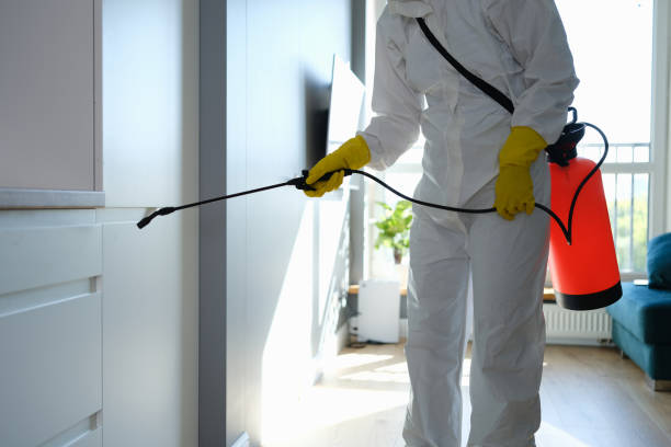 Best Residential Mold Remediation in Bethesda, OH